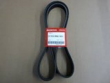 Correa de accesorio Accord