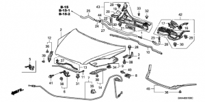 Capot Delantero Honda CR-V 2007-11